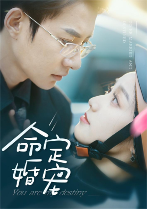 命定婚宠(61集) 命定婚宠(61集)好看的短剧来了
