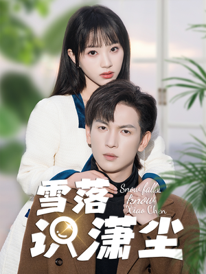 雪落识潇尘（80集）甜宠短剧追到爽