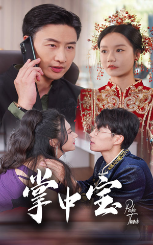 掌中宝(31集) 掌中宝(31集)百度网盘资源