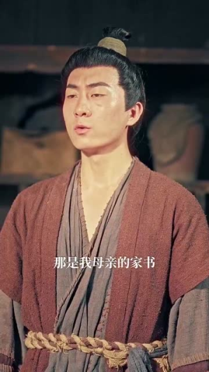 精忠报国(41集) 精忠报国(41集)免费在线看全集