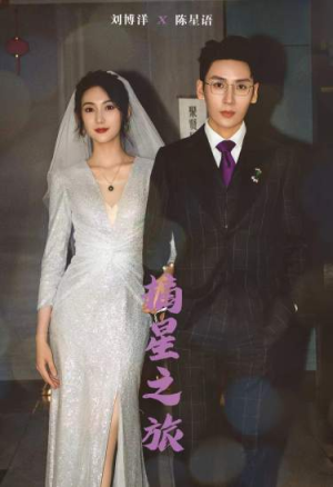 摘星之旅(88集) 摘星之旅(88集)短剧看全集