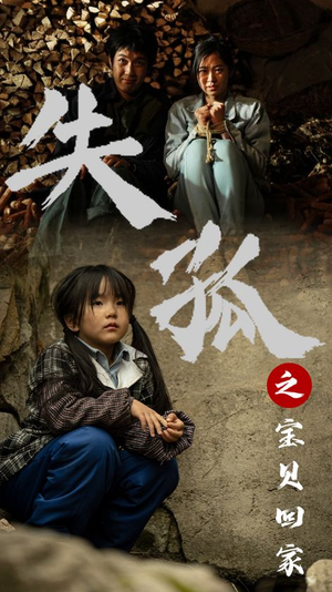 失孤之宝贝回家(71集) 失孤之宝贝回家(71集)在哪里可以看