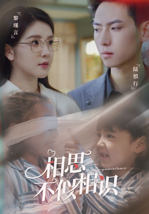 相思不似相识(101集) 相思不似相识(101集)热门爆款短剧