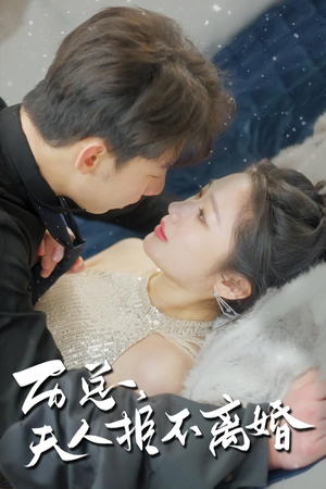 历总,夫人拒不离婚(61集) 历总,夫人拒不离婚(61集)演的怎么样