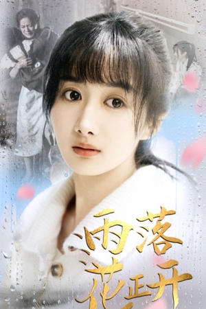 雨落花正开(62集) 雨落花正开(62集)最近很火的短剧