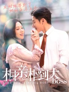 相亲相到大boss(101集) 相亲相到大boss(101集)短剧热播推荐