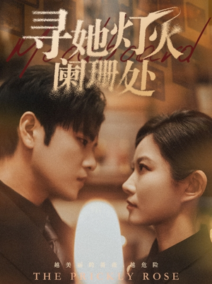 寻她灯火阑珊处(61集) 寻她灯火阑珊处(61集)集免费看短剧