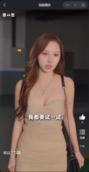 我的富豪美女总裁(我的极品女总裁) 我的富豪美女总裁(我的极品女总裁)视频在线看