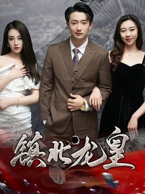 镇北龙帅(97集) 镇北龙帅(97集)完整版免费观看