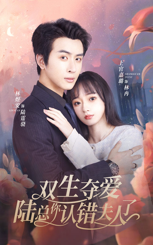双生夺爱陆总你认错夫人了(94集) 双生夺爱陆总你认错夫人了(94集)热播短剧排行榜