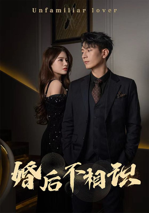 婚后不相识(100集) 婚后不相识(100集)口碑之选免费看