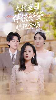 大婚当日伴娘婆婆惊艳全场（30集）口碑爆棚免费看