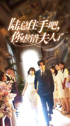 陆总住手吧,你虐错夫人了(80集) 陆总住手吧,你虐错夫人了(80集)真的好看吗
