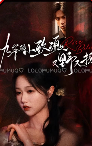 九爷的小玫瑰又野又撩(100集) 九爷的小玫瑰又野又撩(100集)短剧上头又好看