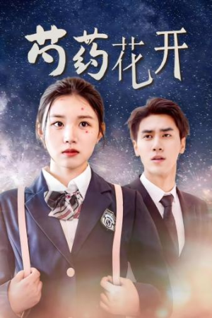 芍药花开(77集) 芍药花开(77集)短剧抢先看全集