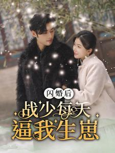 闪婚后战少每天逼我生崽(91集) 闪婚后战少每天逼我生崽(91集)短剧小说在线看