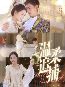 温柔追捕（89集）热播短剧抢先看