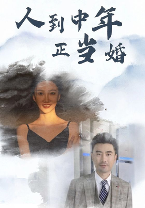 人到中年正当婚(81集) 人到中年正当婚(81集)观看软件