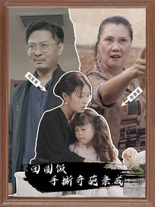 团圆饭手撕奇葩亲戚（40集）精彩短剧看不停