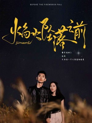 焰火坠落之前(99集) 焰火坠落之前(99集)怎么看全集