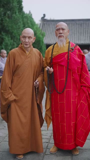 天下嵩山(29集) 天下嵩山(29集)短剧上头又好看