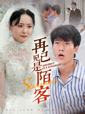 再见已是陌客（55集）百度在线观看