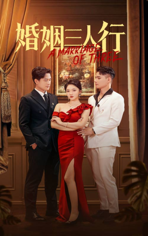 婚姻三人行(31集) 婚姻三人行(31集)太好看了短剧