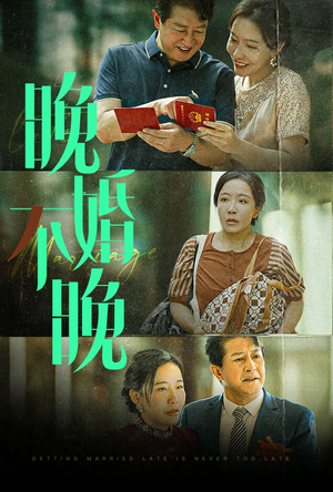 晚婚不晚(30集) 晚婚不晚(30集)好短剧分享