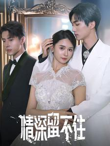 情深留不住(80集) 情深留不住(80集)抢先看热门短剧