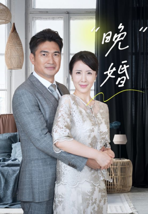 晚婚(65集) 晚婚(65集)更新时间