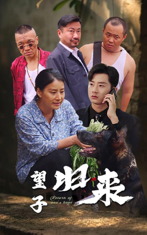 望子归来(50集) 望子归来(50集)免费看短剧