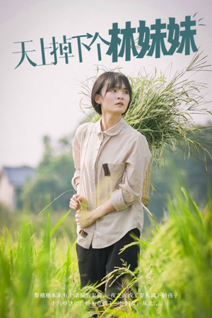 天上掉下个林妹妹(81集) 天上掉下个林妹妹(81集)免费短剧资源
