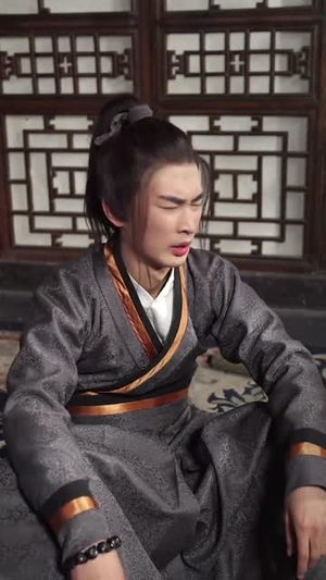 刺客(99集) 刺客(99集)我全都看完了