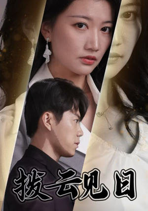 拨云见日(30集) 拨云见日(30集)全集一次看完