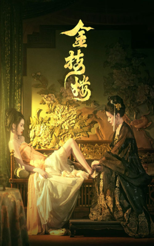 金枝楼（52集）最火的短剧