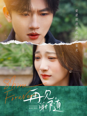 再见谢随(30集) 再见谢随(30集)男频短剧推荐