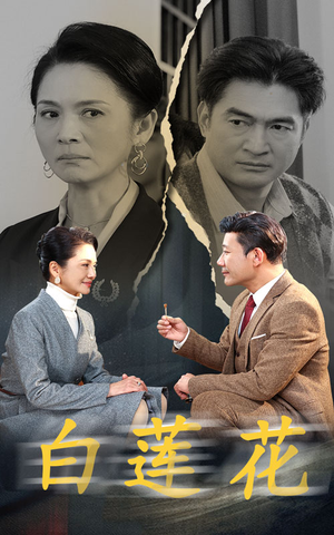 白莲花(40集) 白莲花(40集)推荐热门短剧