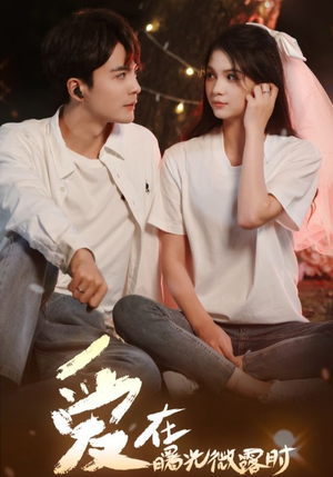 爱在曙光微露时(49集) 爱在曙光微露时(49集)好看短剧推荐