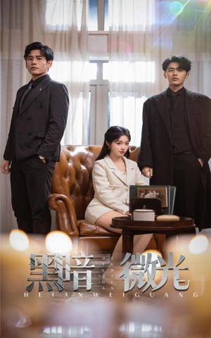 黑暗微光(66集) 黑暗微光(66集)短剧全集免费看