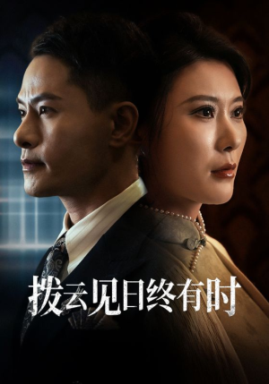 拨云见日终有时(30集) 拨云见日终有时(30集)第32集