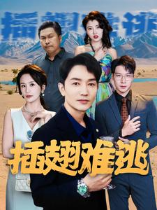 插翅难逃(43集) 插翅难逃(43集)全剧看到大结局