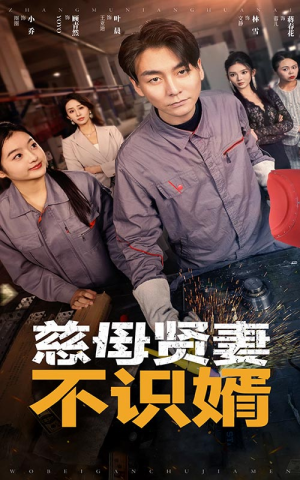 慈母贤妻不识婿（45集）完整版