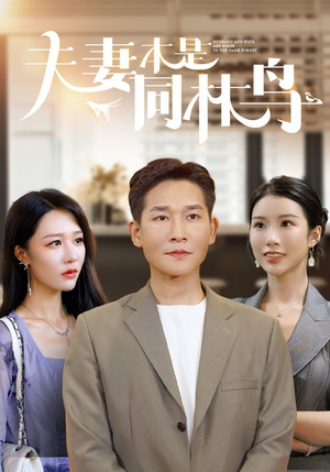 夫妻本是同林鸟(76集) 夫妻本是同林鸟(76集)短剧分享片段