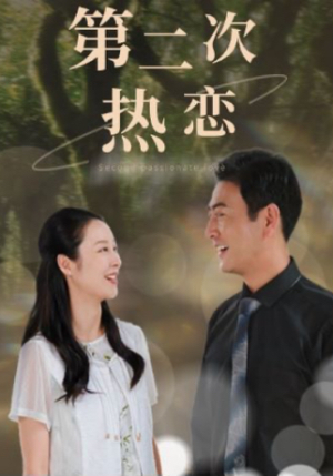 第二次热恋（48集）古代短剧推荐