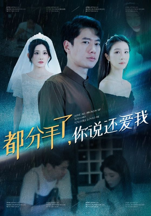都分手了你说还爱我(33集) 都分手了你说还爱我(33集)短剧推荐来了
