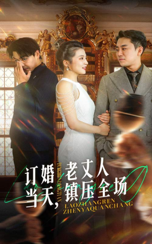 订婚当天,老丈人镇压全场(29集) 订婚当天,老丈人镇压全场(29集)短剧热播推荐