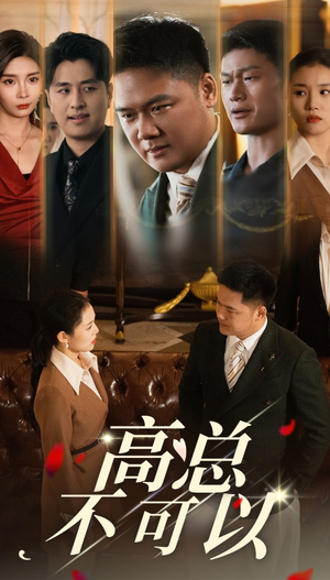 高总不可以(45集) 高总不可以(45集)热播短剧全集看