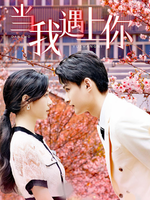 当我遇上你(100集) 当我遇上你(100集)最新热播短剧