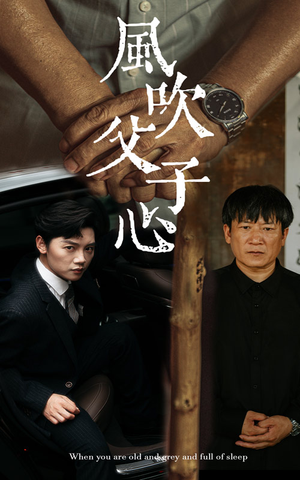 风吹父子心(65集) 风吹父子心(65集)在线看完整版