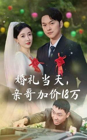 婚礼当天,亲哥加价18万(36集) 婚礼当天,亲哥加价18万(36集)经典老剧免费看